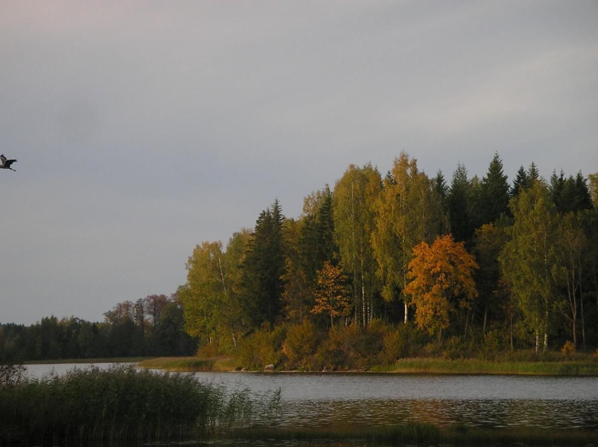 Дома для отпуска Pohlametsa Holiday House Nüpli